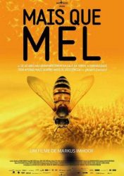 MAIS QUE MEL – More Than Honey