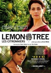 LIMOEIRO – LEMON TREE