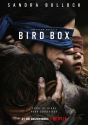 BIRD BOX