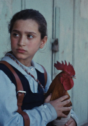 THE PRESIDENT’S CAKE