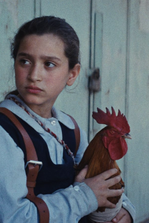 Cartaz do filme THE PRESIDENT’S CAKE