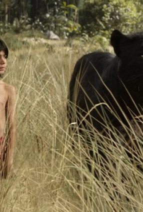 Cartaz do filme MOGLI: O MENINO LOGO – The Jungle Book